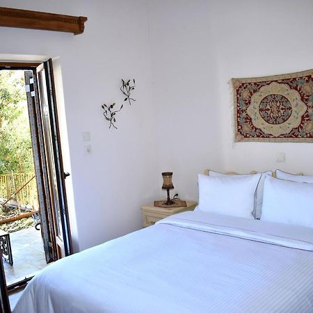 Eufrosini Guesthouse Metsovo Extérieur photo