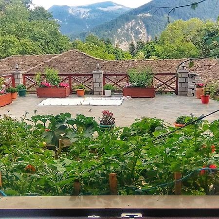 Eufrosini Guesthouse Metsovo Extérieur photo