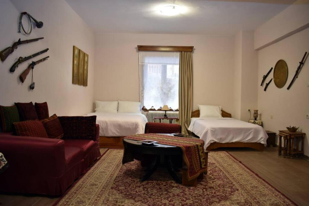 Eufrosini Guesthouse Metsovo Extérieur photo