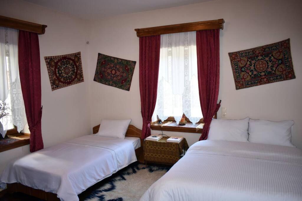 Eufrosini Guesthouse Metsovo Extérieur photo