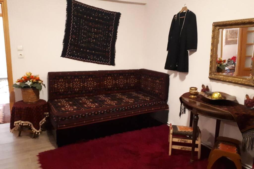 Eufrosini Guesthouse Metsovo Extérieur photo