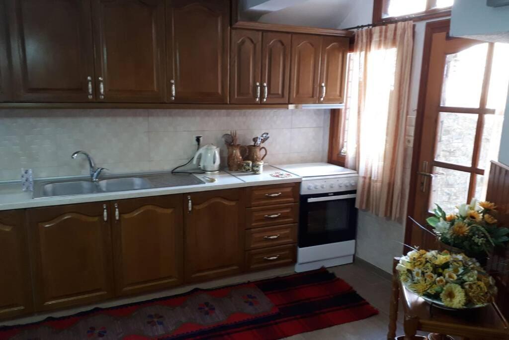Eufrosini Guesthouse Metsovo Extérieur photo