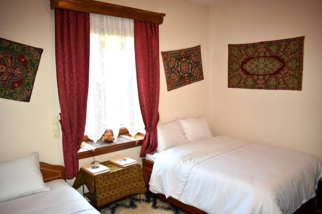 Eufrosini Guesthouse Metsovo Extérieur photo