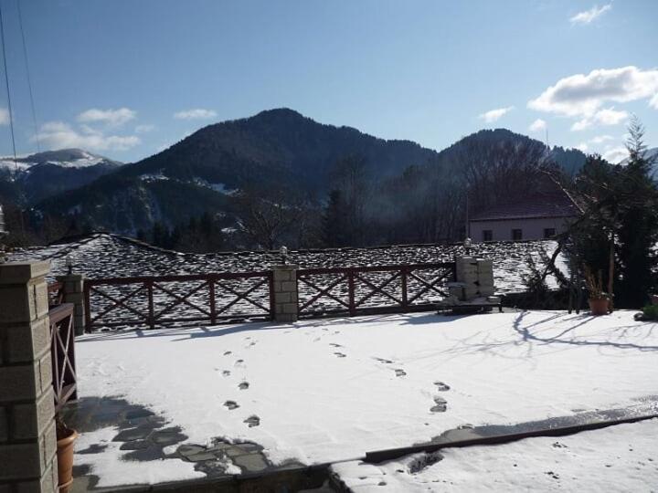 Eufrosini Guesthouse Metsovo Extérieur photo